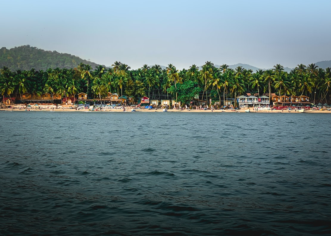Palolem beach, Goa